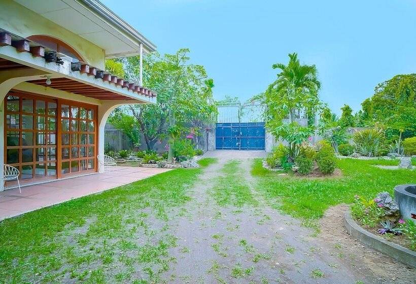 בית מלון כפרי Star Cove Bed And Breakfast