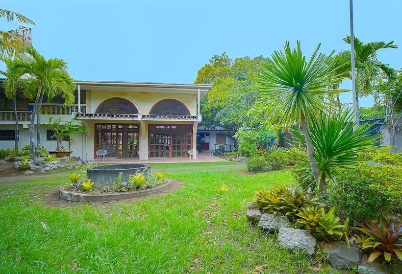 בית מלון כפרי Star Cove Bed And Breakfast