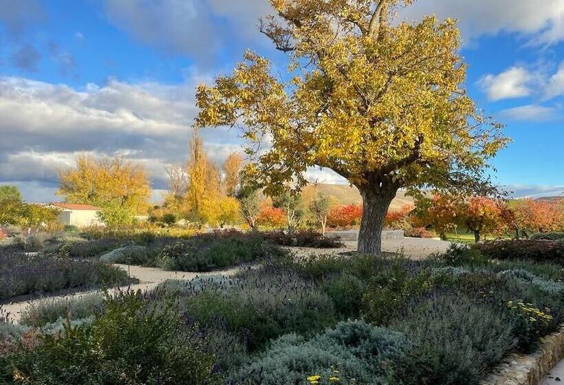 هتل Quinta San Francisco