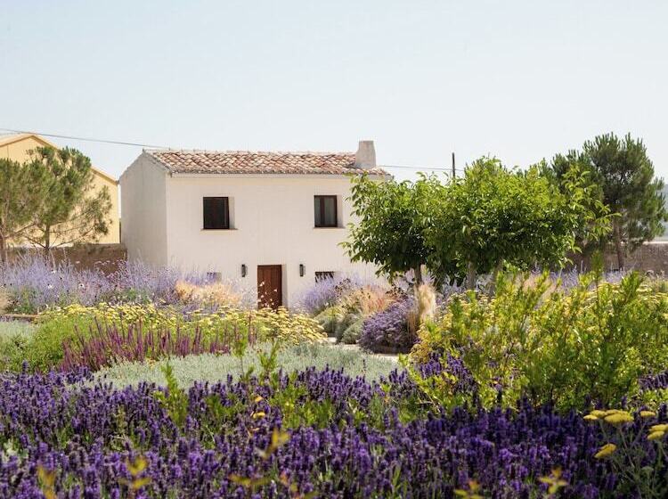 هتل Quinta San Francisco