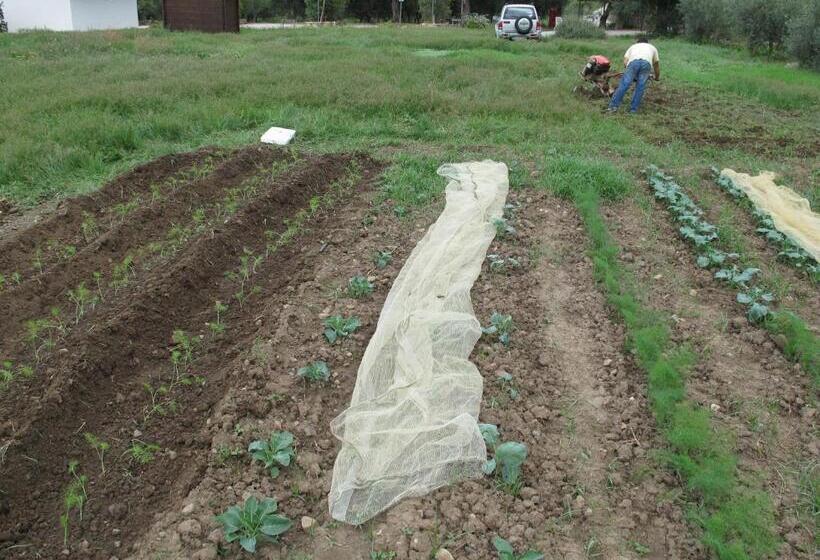 ホテル Stella Di Sicilia