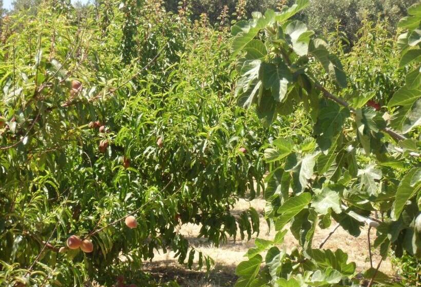 ホテル Stella Di Sicilia