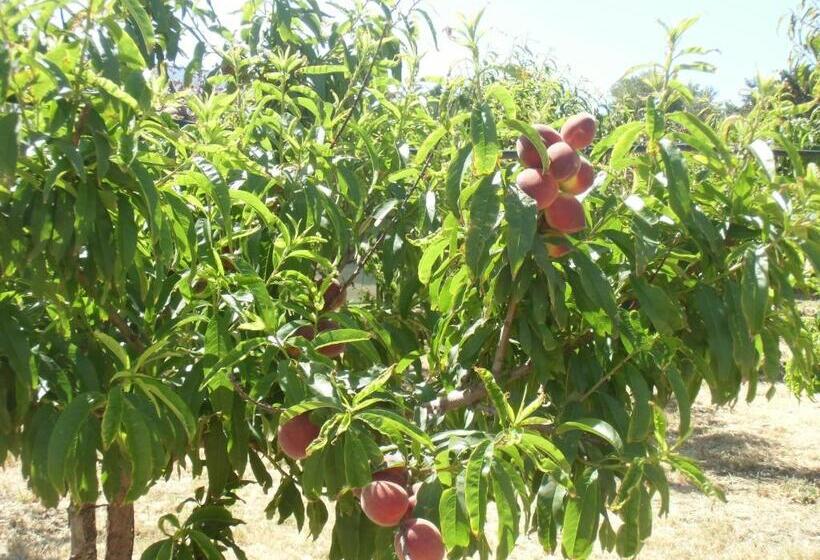 ホテル Stella Di Sicilia