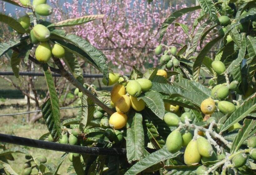 ホテル Stella Di Sicilia