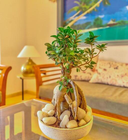 هتل The Boho, Vagator Beach Goa Near Thalassa