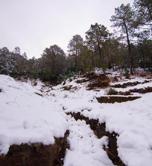 בית מלון כפרי Thehimalayanliving Whistling Pines