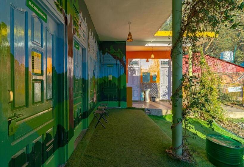 Jungle Hostel By Whoopers