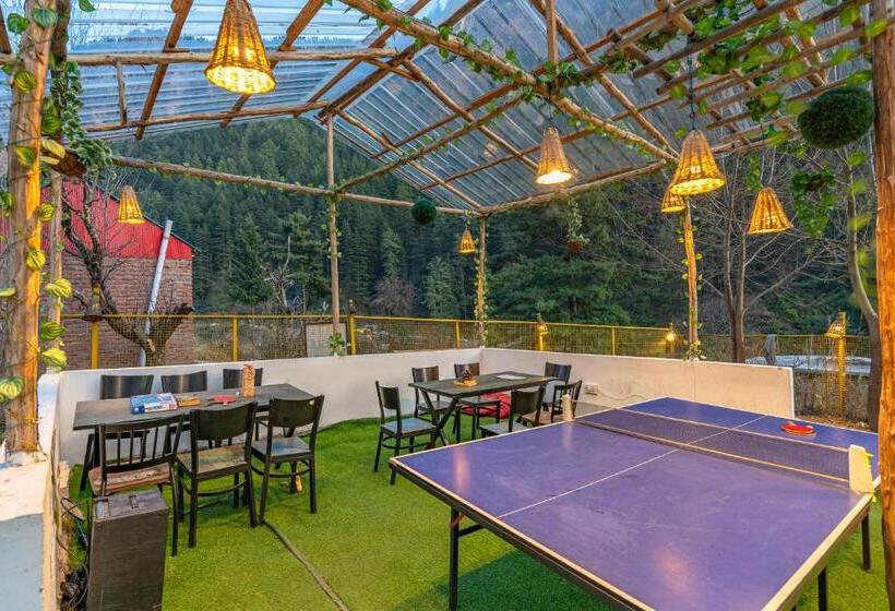 Jungle Hostel By Whoopers