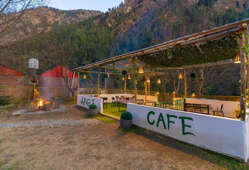 Jungle Hostel By Whoopers