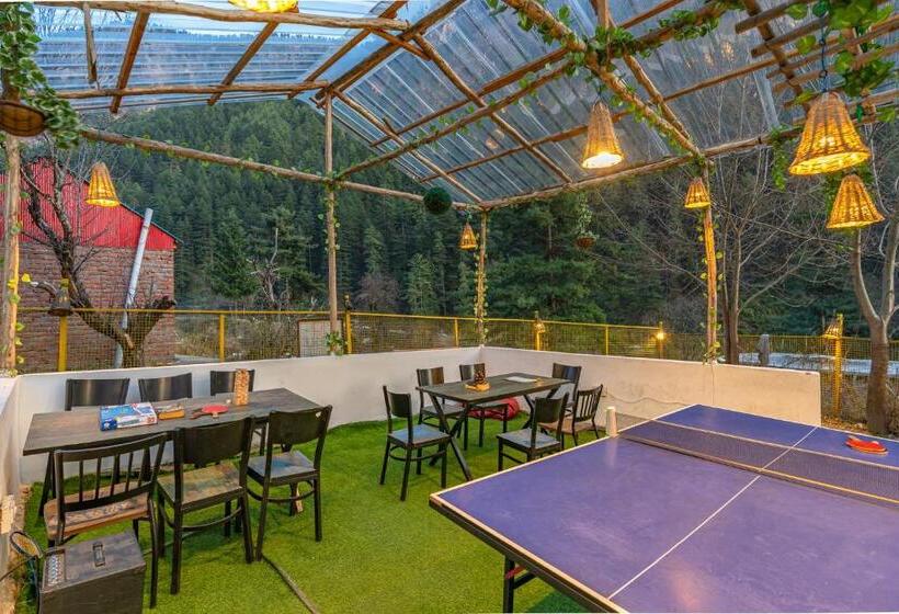 Jungle Hostel By Whoopers