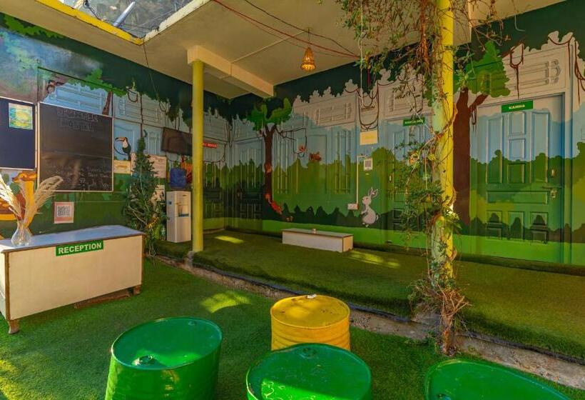 Jungle Hostel By Whoopers