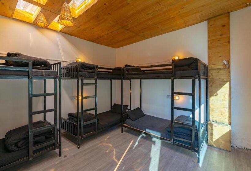 Jungle Hostel By Whoopers