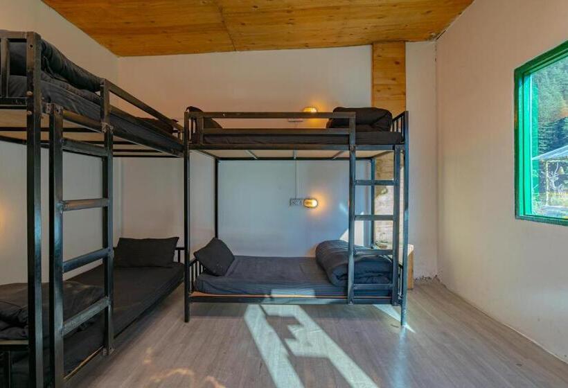 Jungle Hostel By Whoopers