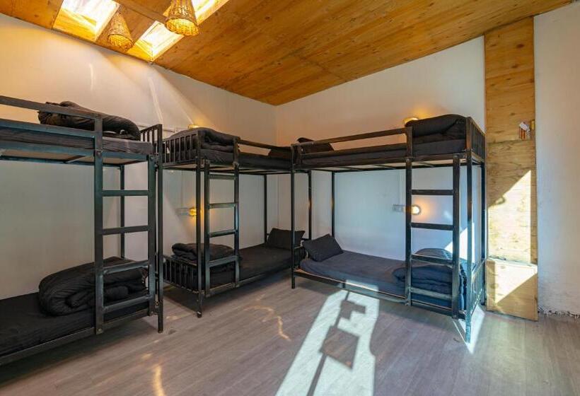 Jungle Hostel By Whoopers