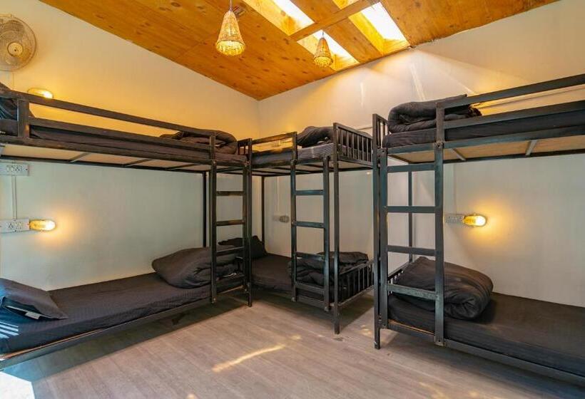 Jungle Hostel By Whoopers