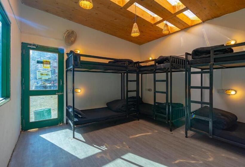 Jungle Hostel By Whoopers