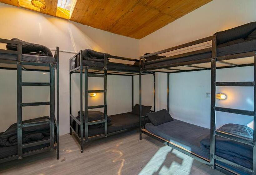 Jungle Hostel By Whoopers