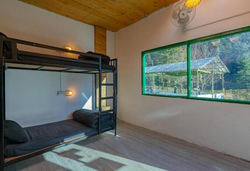 Jungle Hostel By Whoopers