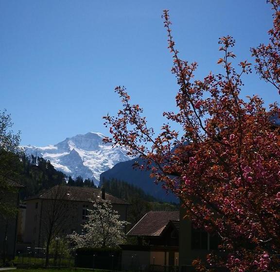 Unteregasse21 Apartments
