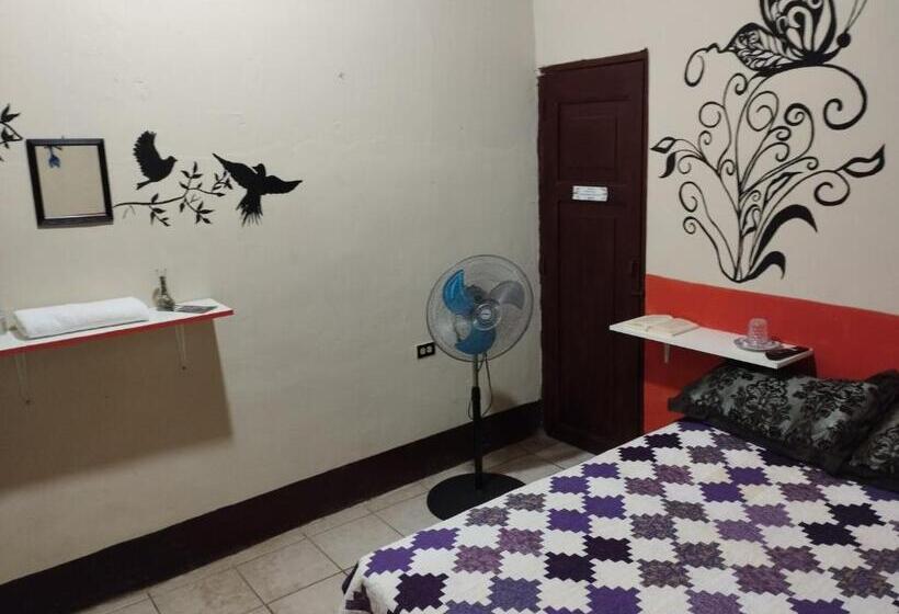 펜션 Cafetín Hostal Rincón Nica