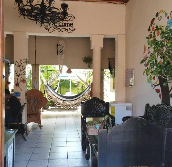 펜션 Cafetín Hostal Rincón Nica