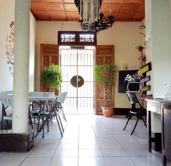 펜션 Cafetín Hostal Rincón Nica
