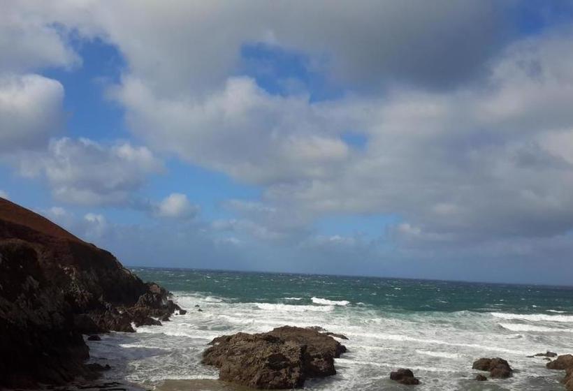 膳宿费 Le Chat Bleu