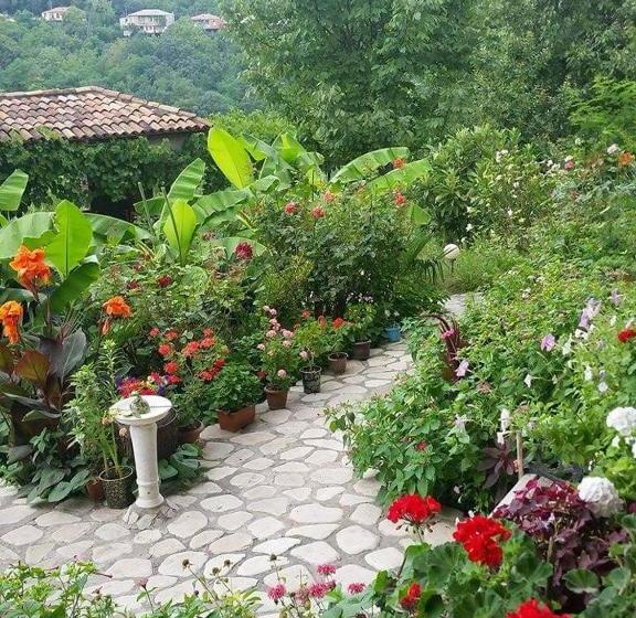 پانسیون Mate Guesthouse