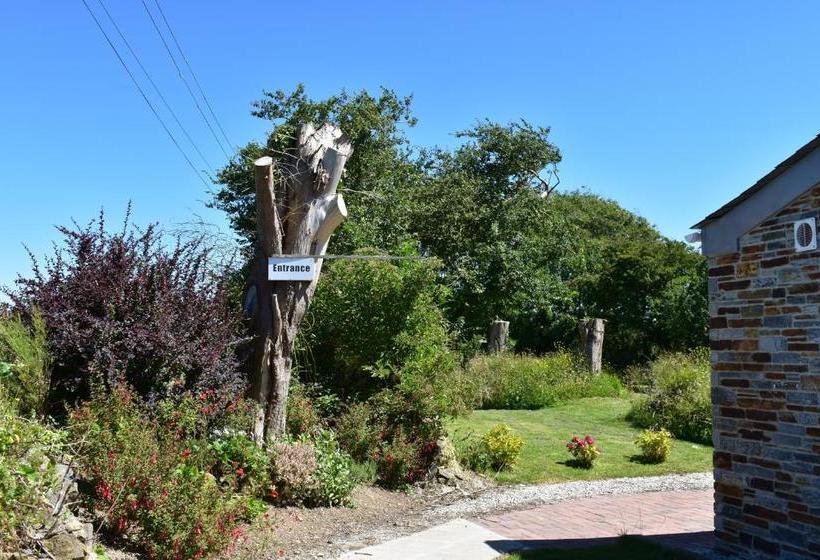 膳宿费 The Nook B&b