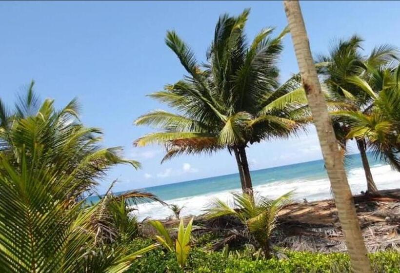 פנסיון Pousada Obedemar   Taipu De Fora, Barra Grande, Ba