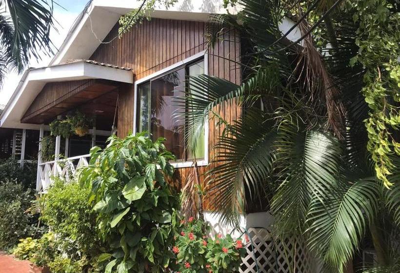 Пансион Villa Acacias Tree