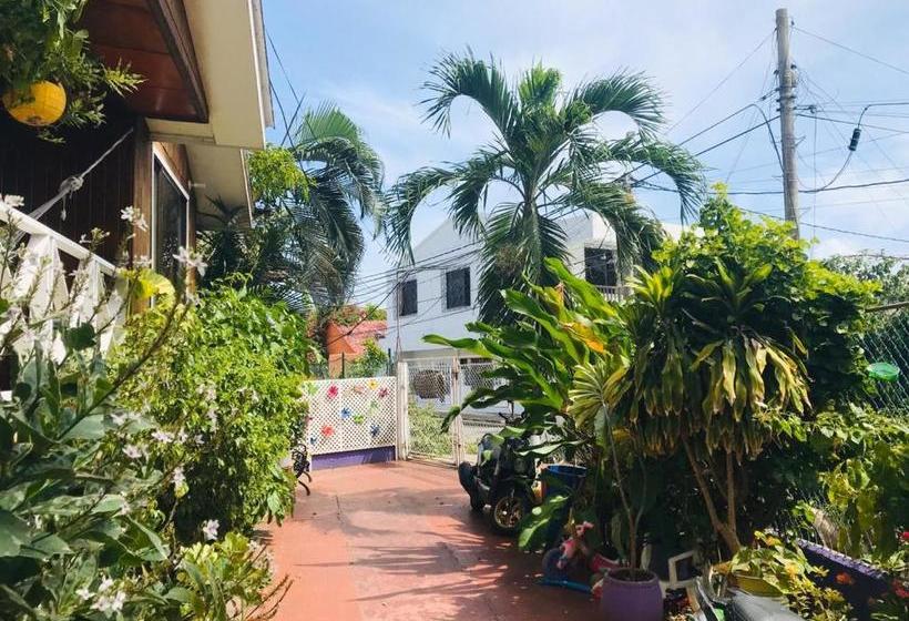 Пансион Villa Acacias Tree