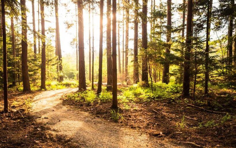 Weekly Boardinghouse