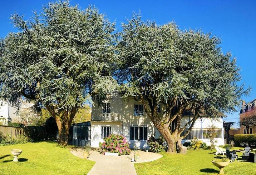 ベッドアンドブレックファースト Chambres D'hôtes La Maison Blanche