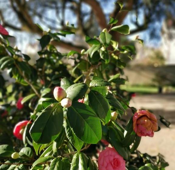 ベッドアンドブレックファースト Chambres D'hôtes La Maison Blanche