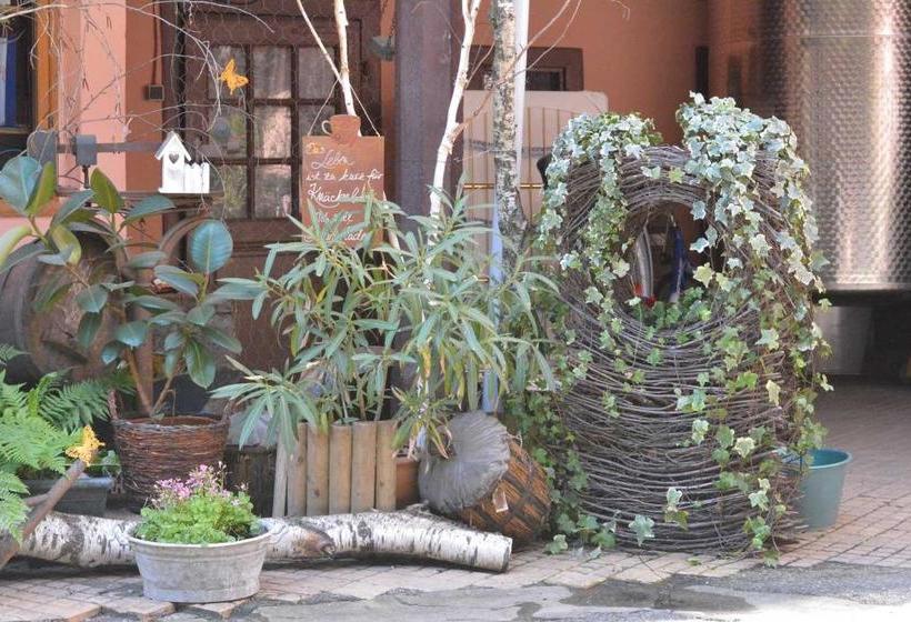 Chez Cecile Bed And Breakfast Chez Le Vigneron