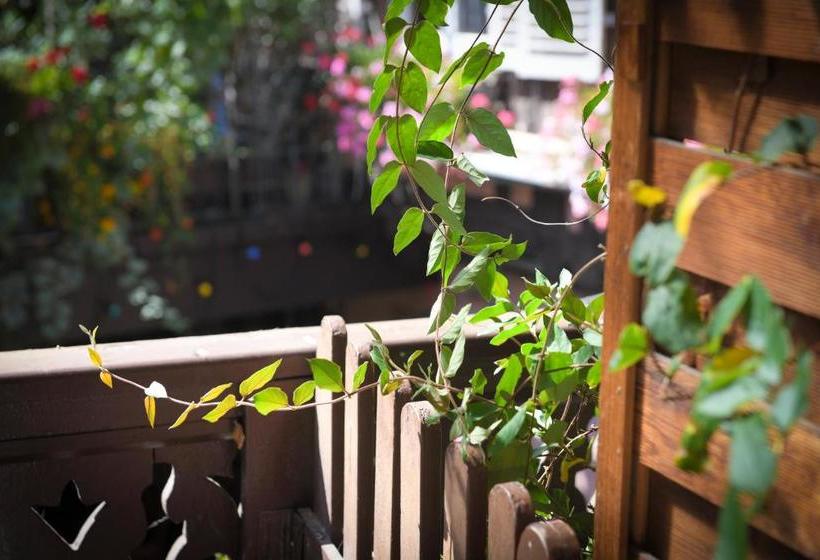 Chez Cecile Bed And Breakfast Chez Le Vigneron