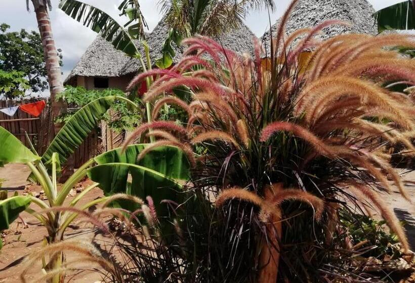 住宿加早餐  Kendwa Carletto Style