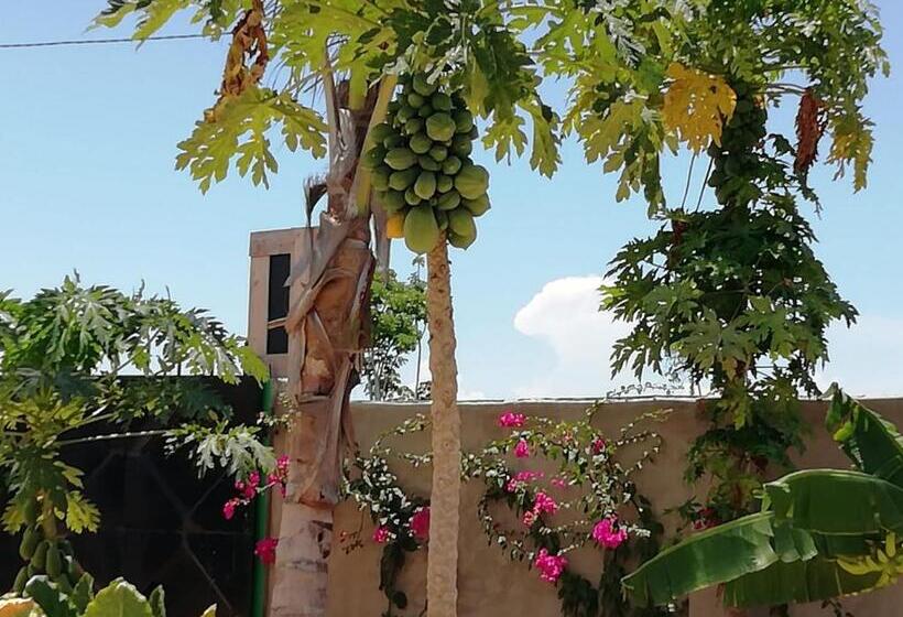 住宿加早餐  Kendwa Carletto Style