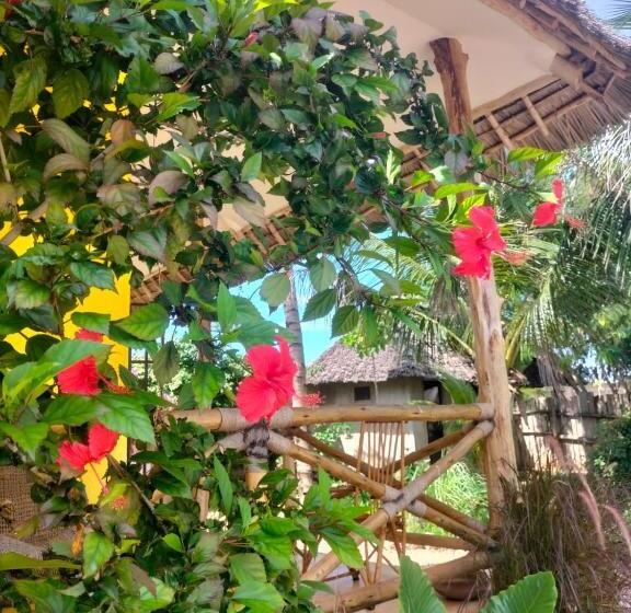 住宿加早餐  Kendwa Carletto Style