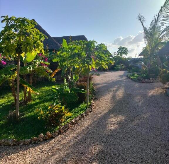 住宿加早餐  Kendwa Carletto Style