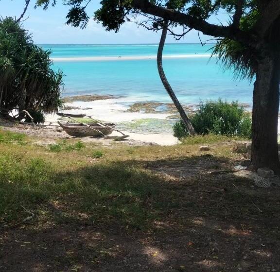 住宿加早餐  Kendwa Carletto Style