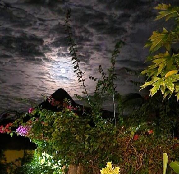 住宿加早餐  Kendwa Carletto Style