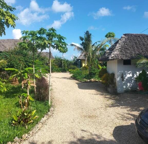 住宿加早餐  Kendwa Carletto Style