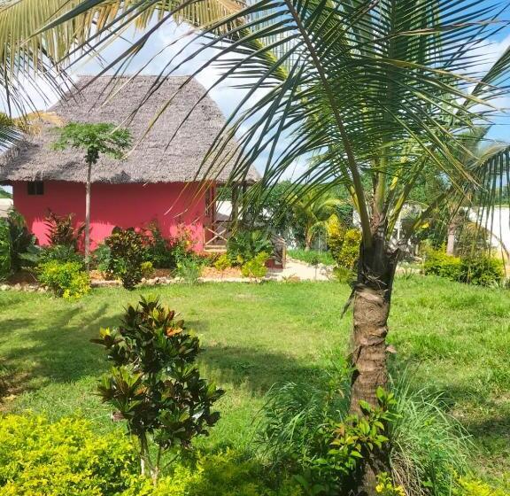 住宿加早餐  Kendwa Carletto Style