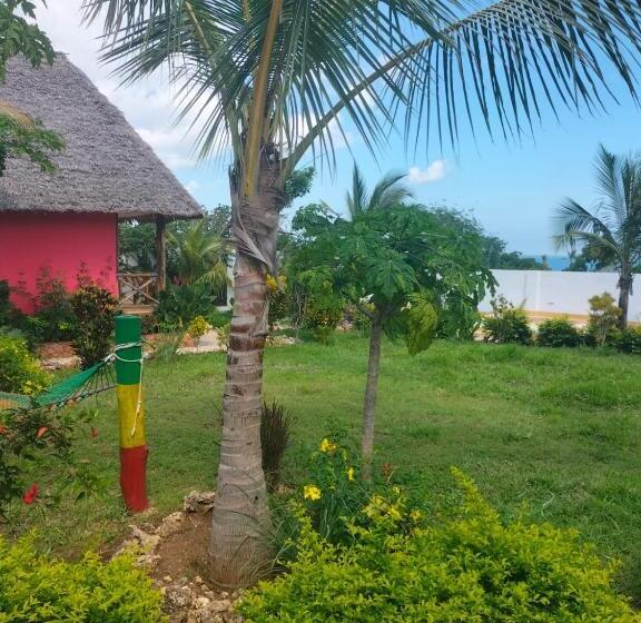 住宿加早餐  Kendwa Carletto Style