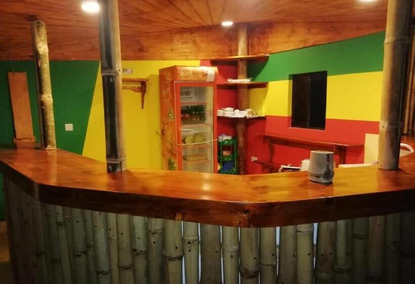 住宿加早餐  Kendwa Carletto Style