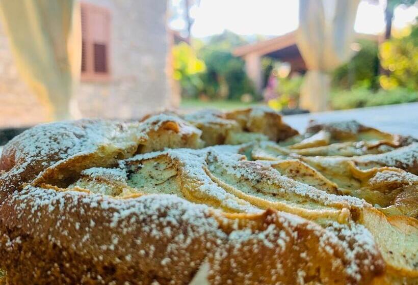 تختخواب و صبحانه La Maison