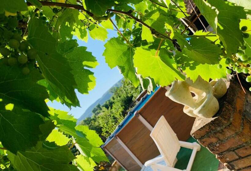 تختخواب و صبحانه La Maison