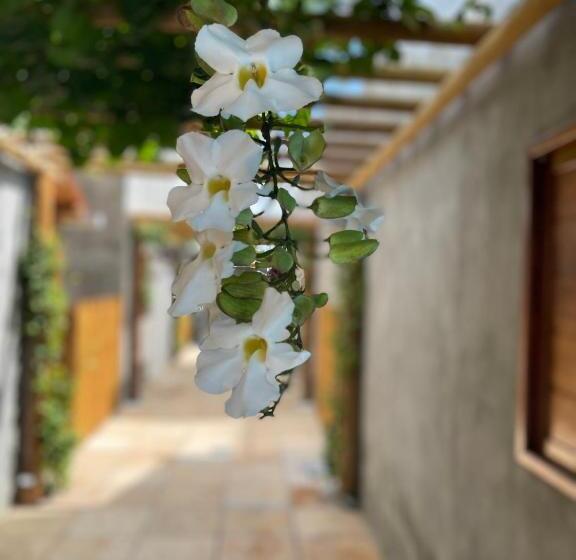 Chalé Palhano Beach